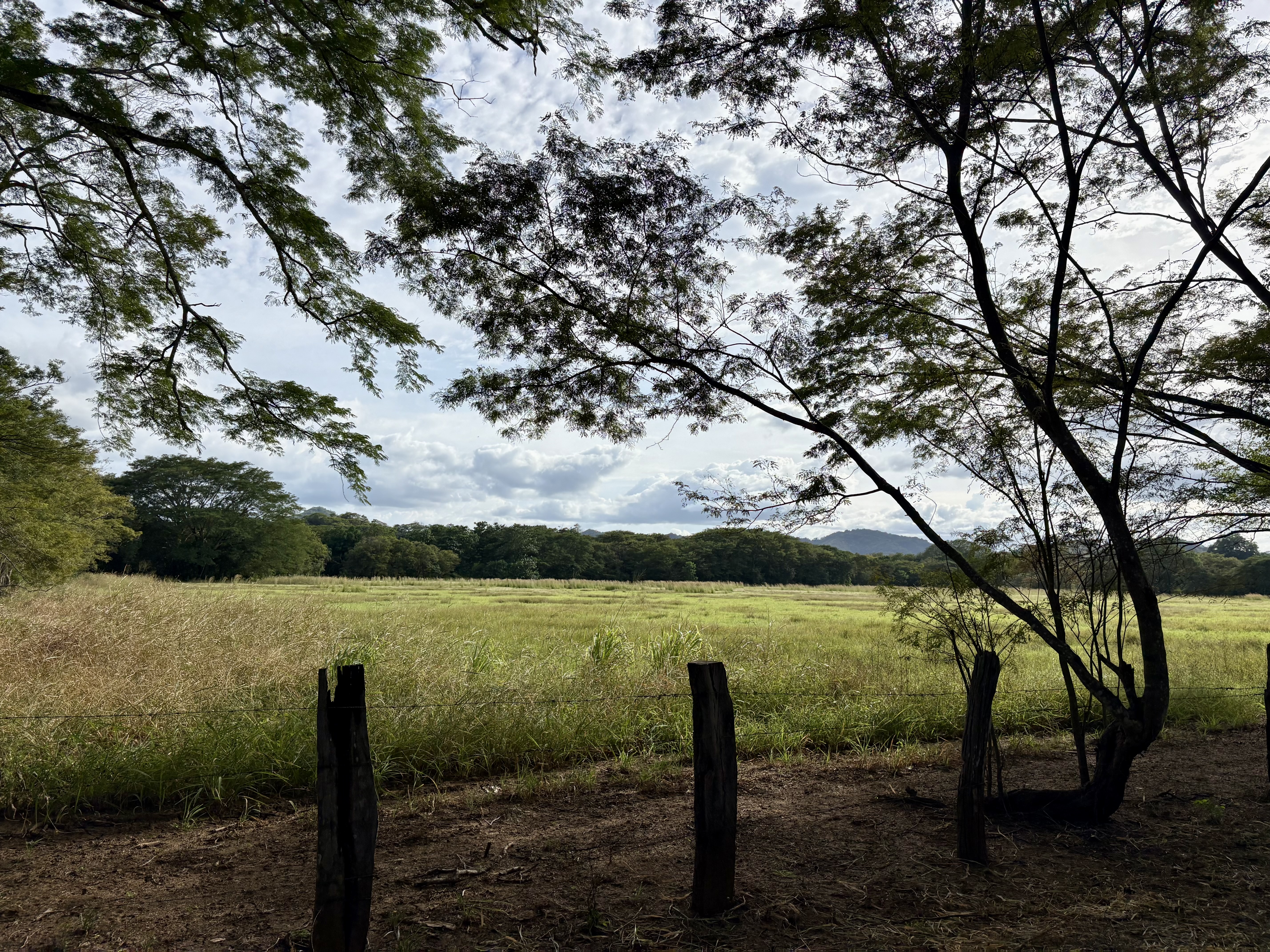 Costa Rica - paysage campagnard