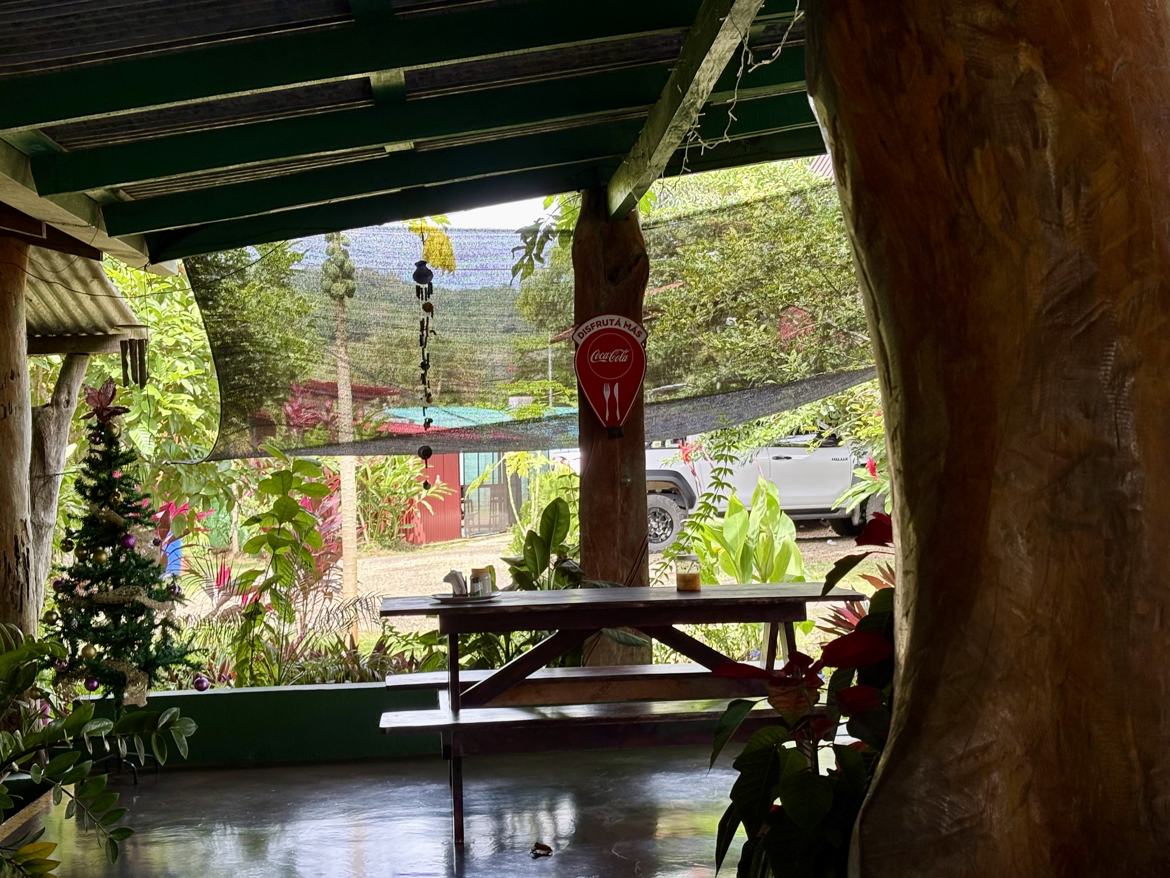 Resto sods