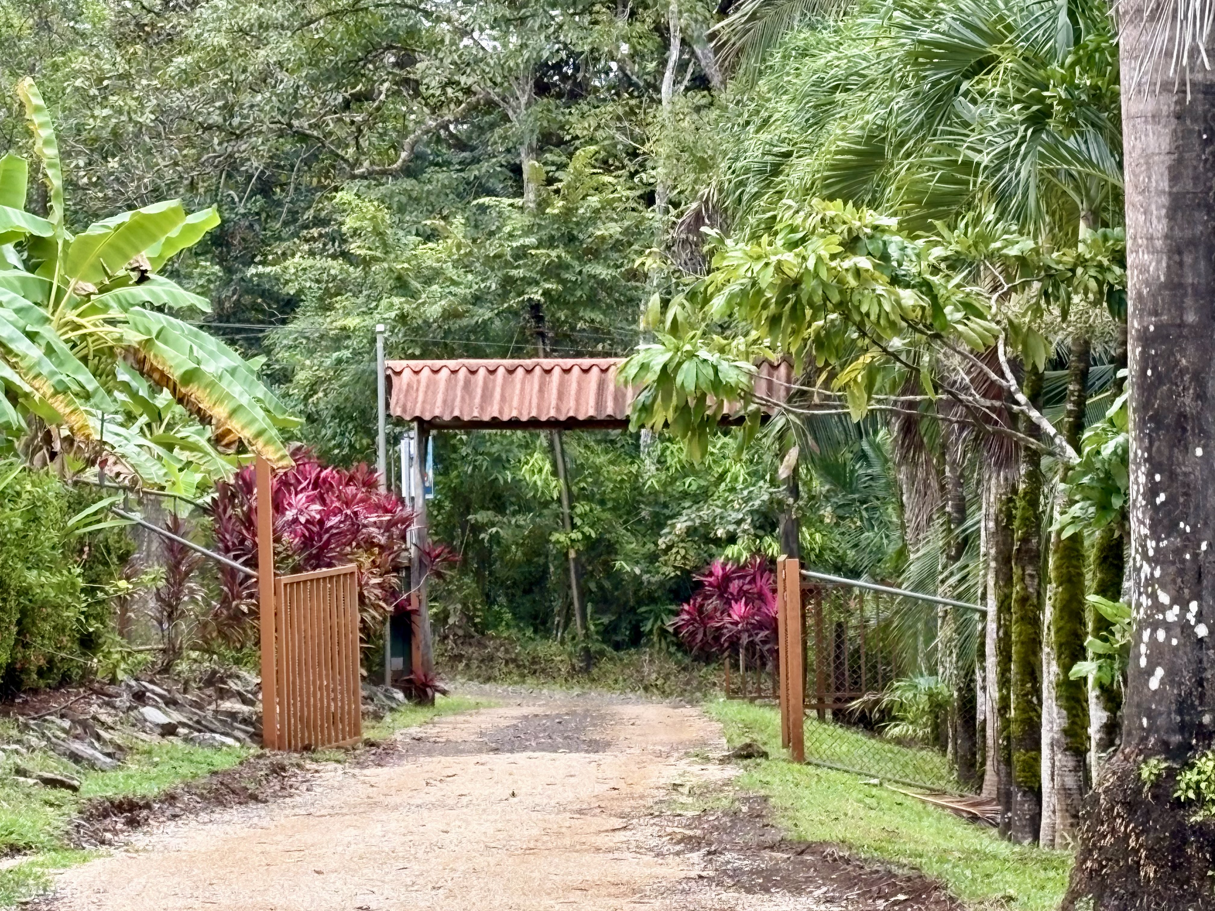 Entrée maison