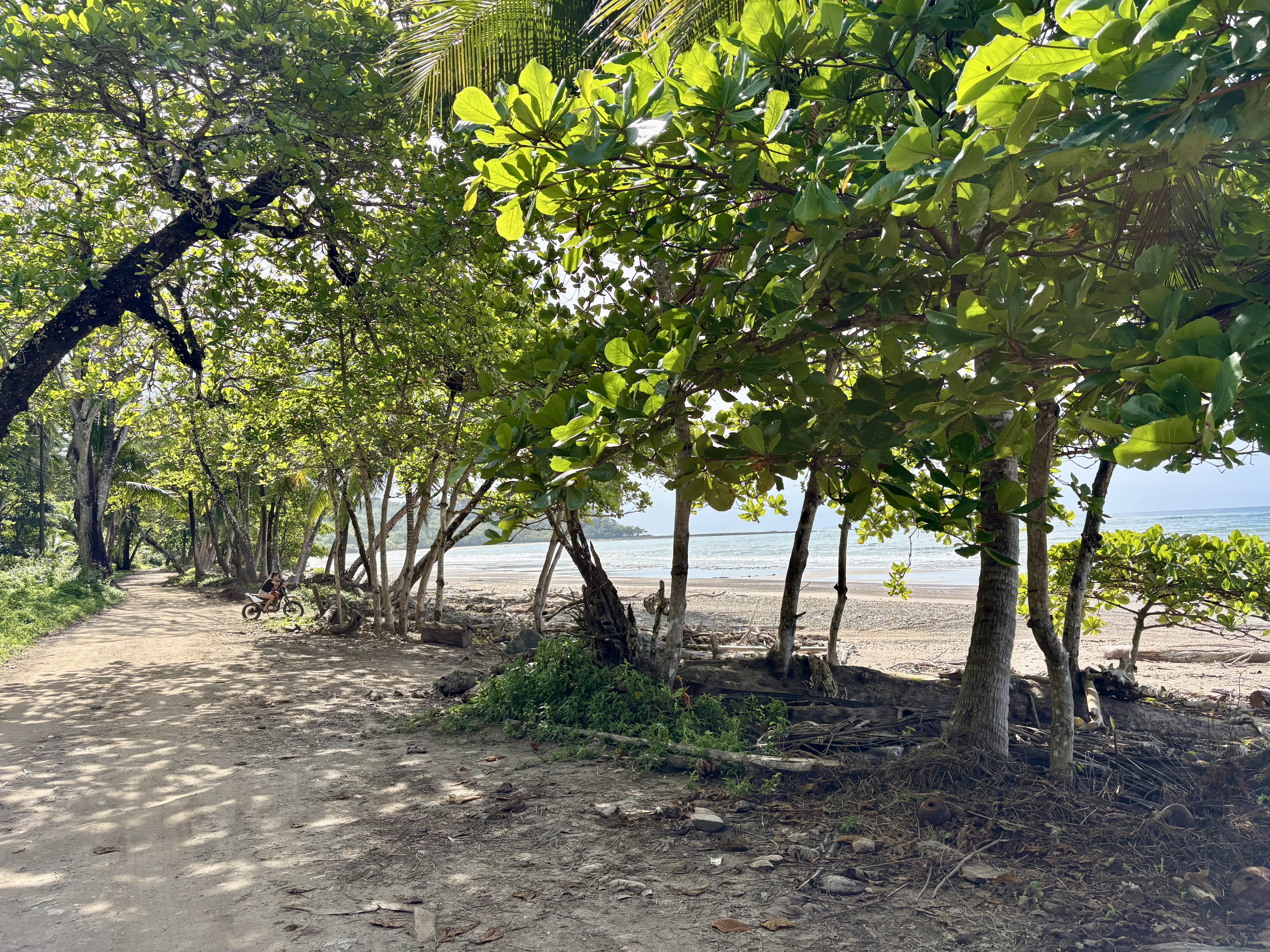 Chemin bordant la mer