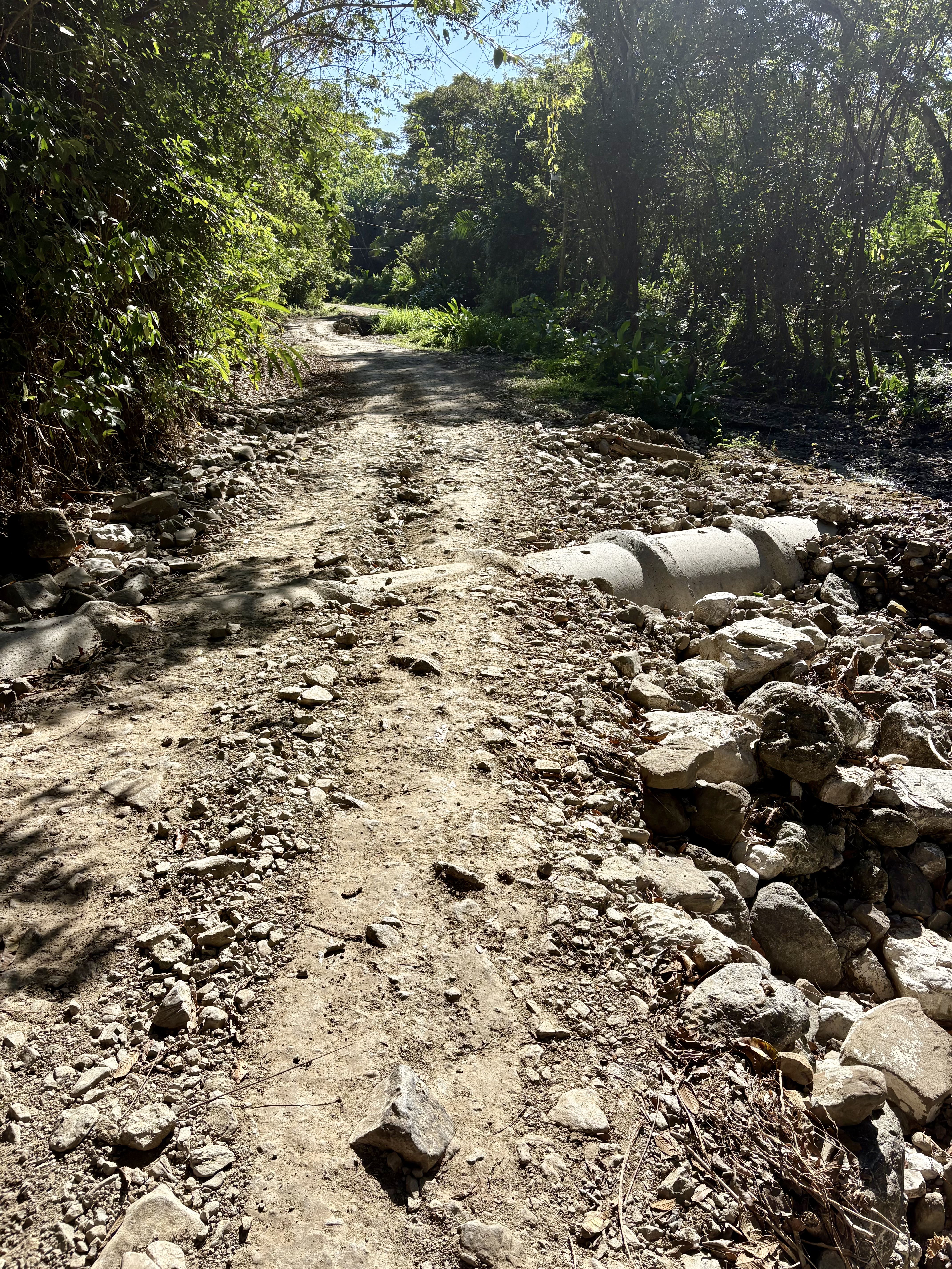 Route en mauvais état