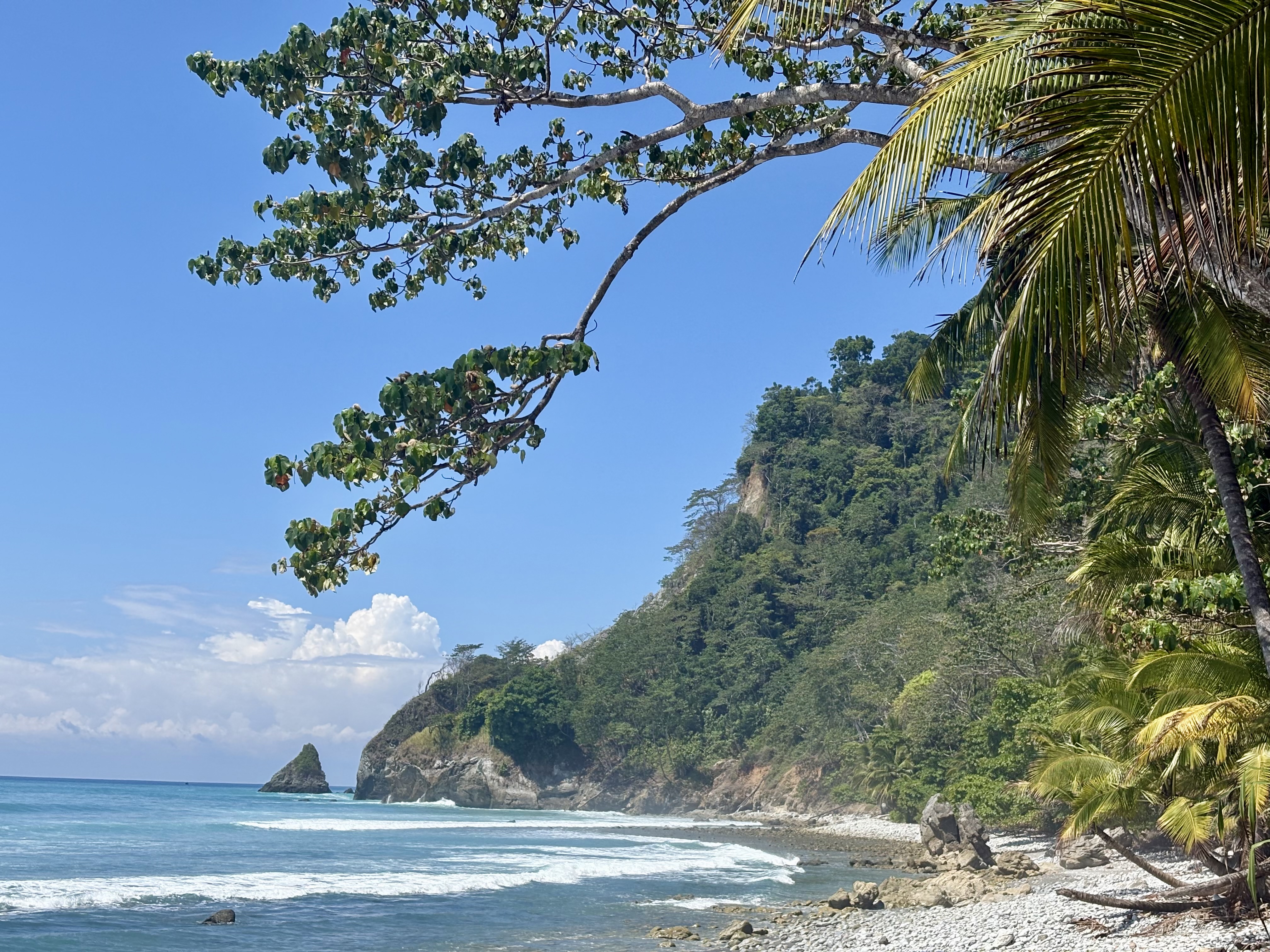 Plage Matapalo