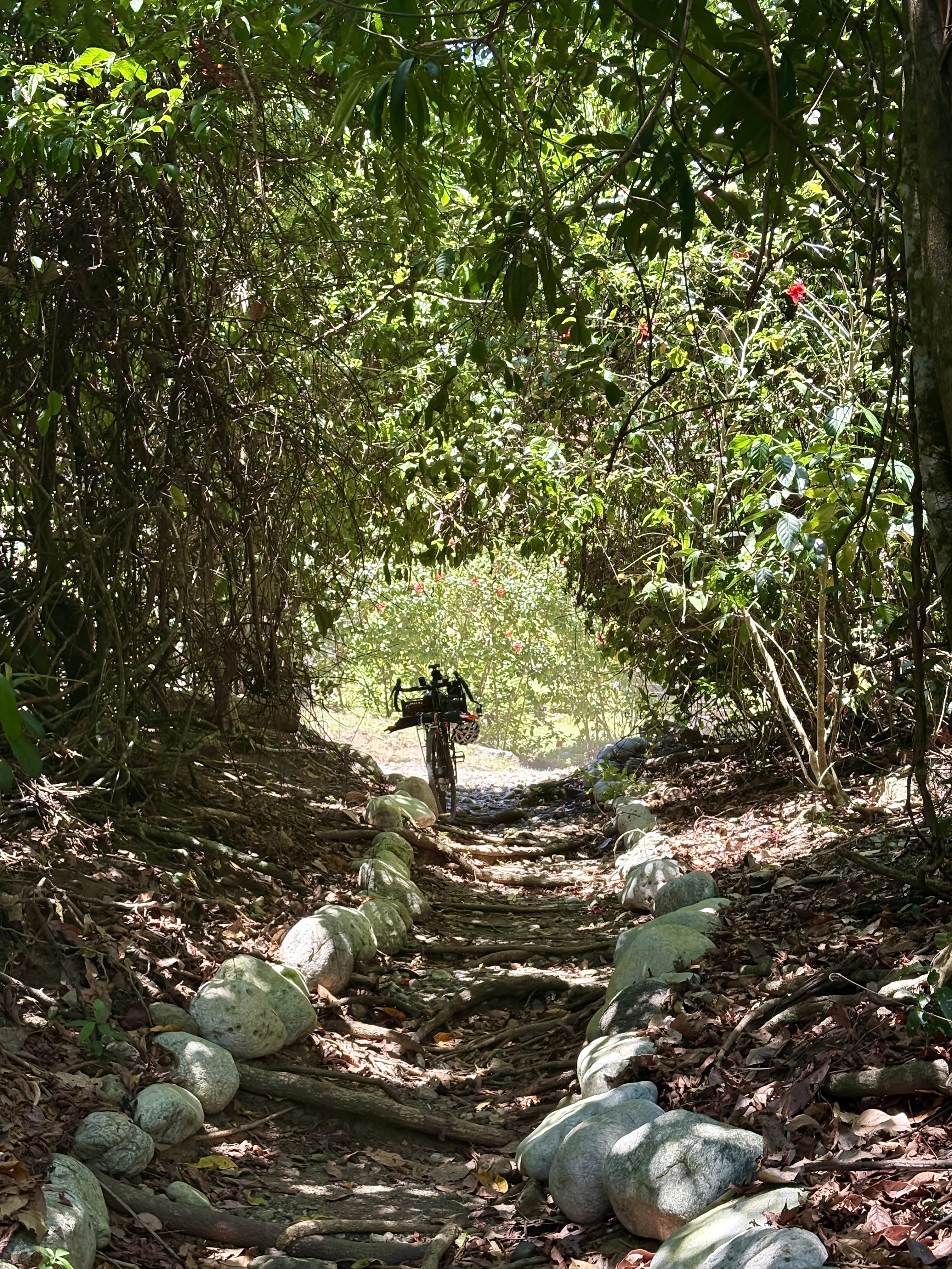 Sentier